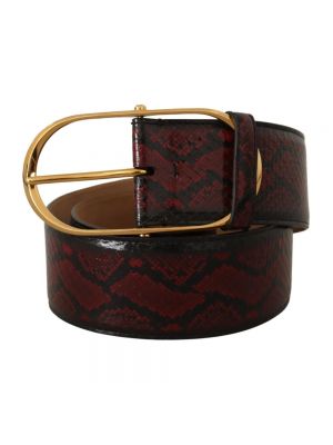 Cinturón de estampado de serpiente Dolce & Gabbana