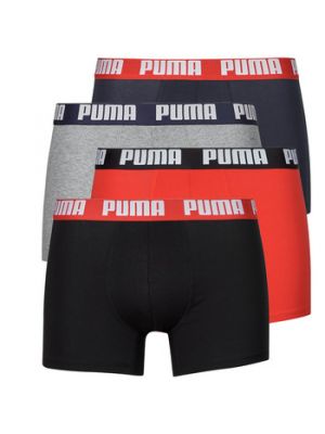 Boxer Puma