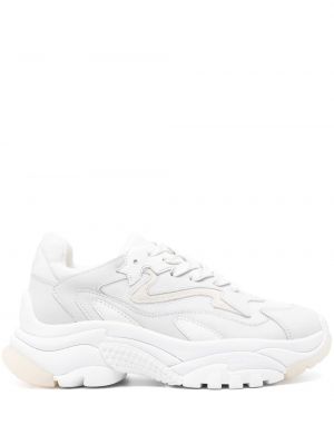 Sneakers Ash λευκό