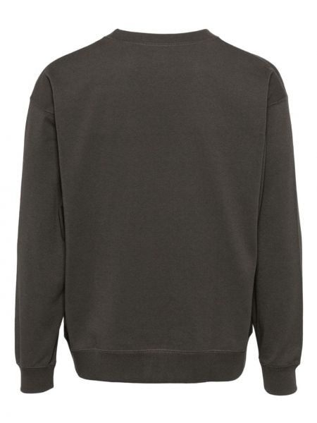Sweatshirt aus baumwoll Danton grau