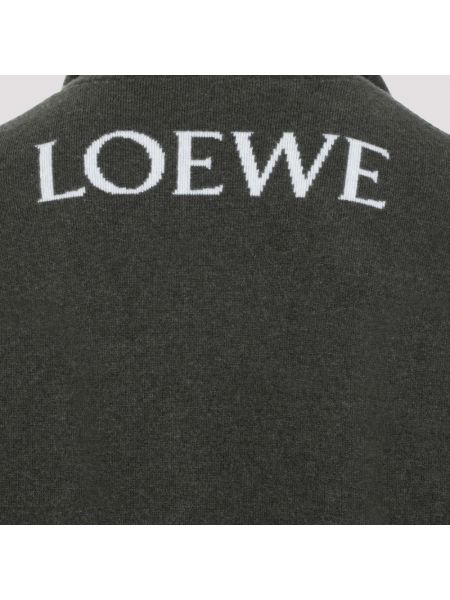 Sudadera con capucha de lana Loewe
