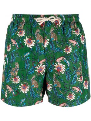 Shorts Peninsula Swimwear grønn