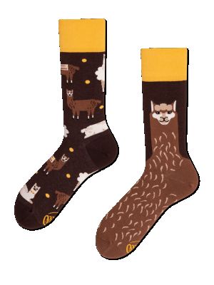 Шкарпетки Many Mornings