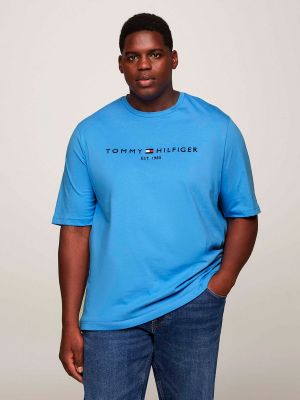 Camiseta manga corta Tommy Hilfiger azul