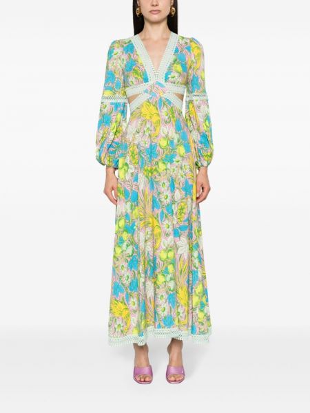 Robe longue à fleurs à imprimé Dvf Diane Von Furstenberg rose