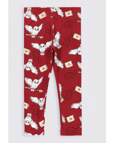Coccodrillo Leggings ZC2122105LIG Bordó Slim Fit