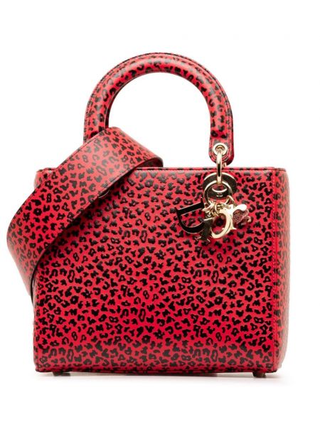 Kožna torba za torbu s printom s leopard uzorkom Christian Dior Pre-owned crvena
