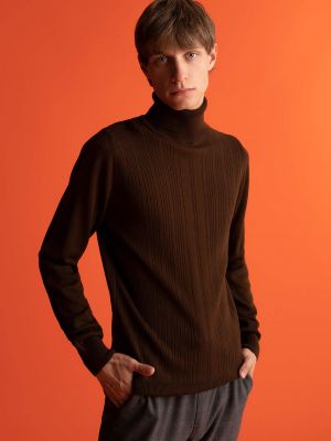 Slim fit džemperis ar augstu apkakli Defacto brūns