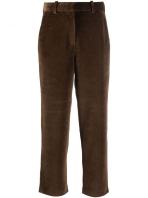 Pantalon chino en velours Circolo 1901 marron