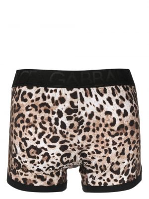 Leopardí bavlněné boxerky s potiskem Dolce & Gabbana