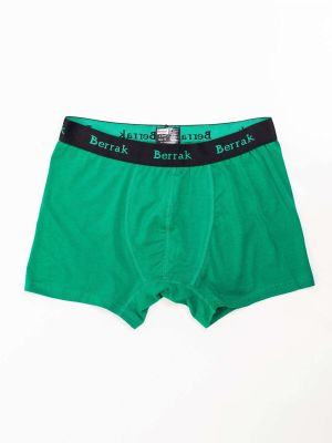 Kratke hlače Fashionhunters zelena