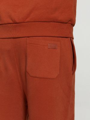Pantalon Shiwi marron