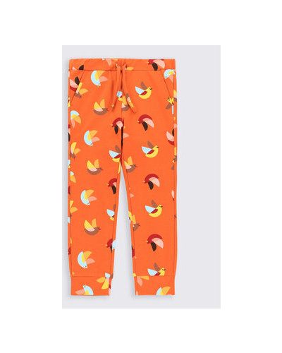 Coccodrillo Pantaloni trening ZC2120101ADK Portocaliu Regular Fit
