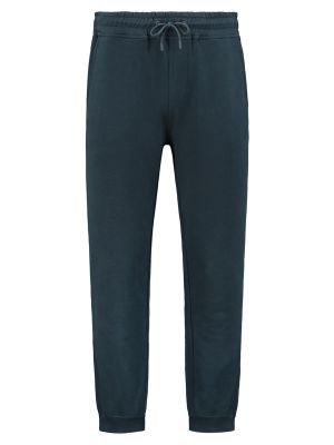 Παντελόνι Shiwi μπλε