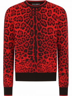 Leopard trykt lang genser Dolce & Gabbana rød