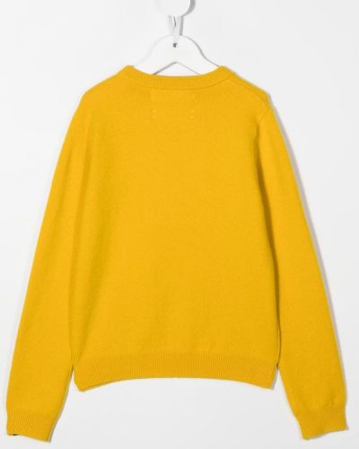 Pull en cachemire en tricot avec manches longues Extreme Cashmere jaune