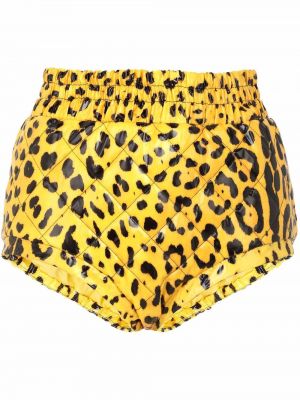 Pantalones cortos con estampado leopardo Dolce & Gabbana