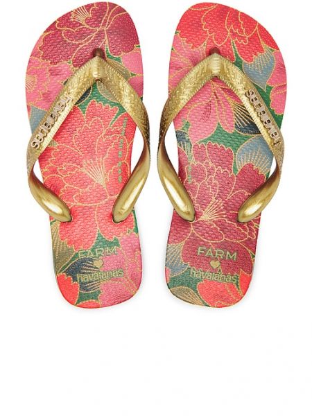 Calzado Havaianas