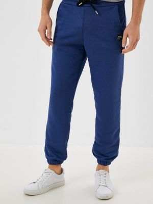 Спортивные штаны D.s синие