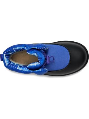 Классические ботинки Ugg синие