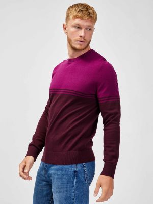 Dzianinowe sweter w paski Gap - fioletowy