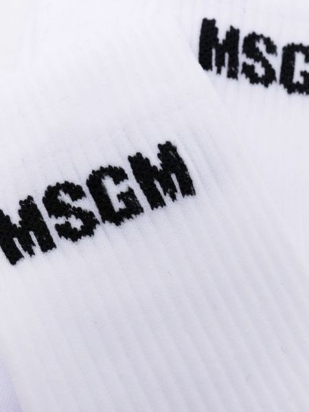 Calcetines con estampado Msgm blanco