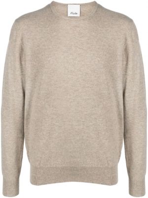 Pull en cachemire col rond Allude beige