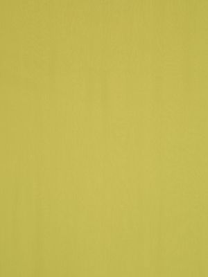 Caurspīdīgs zīda šalle Alberta Ferretti zaļš