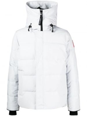 Parkas Canada Goose grå