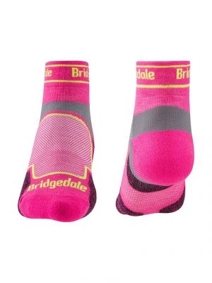 Čarape Bridgedale ljubičasta