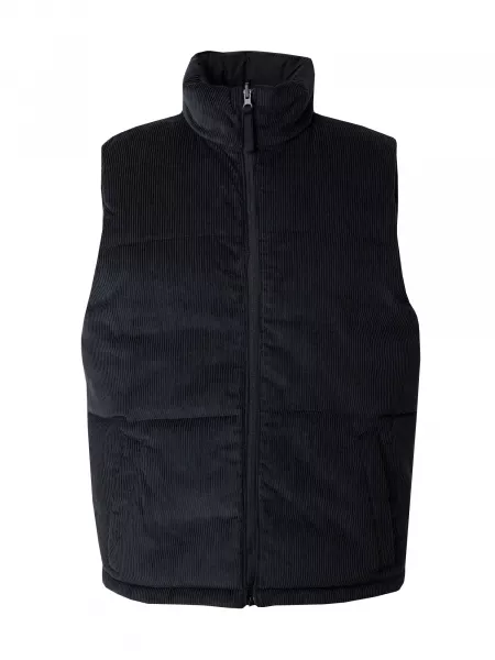 Vest Hollister sort