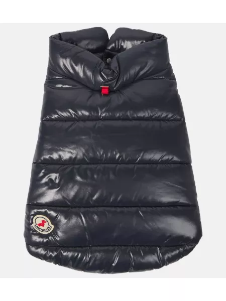 Päällystakki Moncler sininen